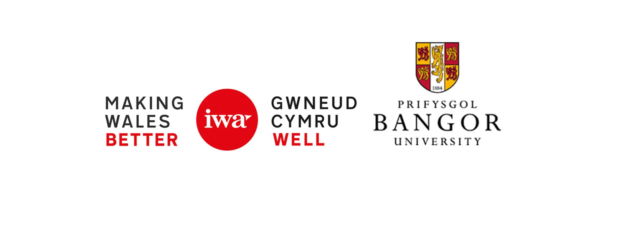 Darlith yr Eisteddfod Sefydliad Materion Cymreig 2017: “Troi’r dŵr/gwynt i felin ein hunain: datrys anghenion ynni lleol yn lleol”