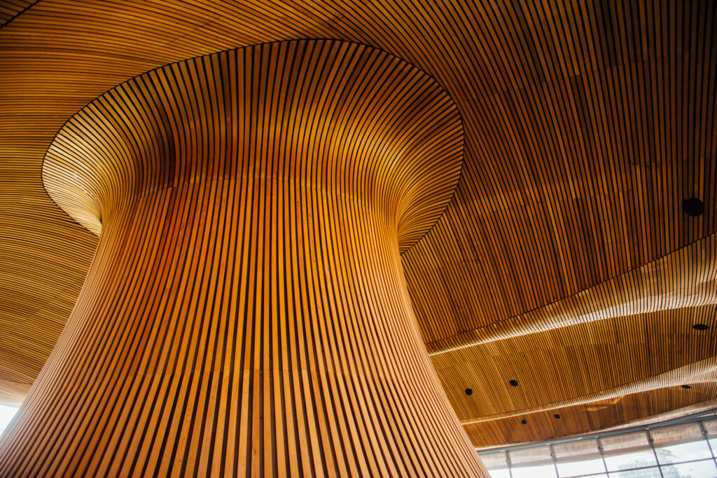 The Welsh Labour Leadership race is underway but candidates' manifestos don't present stark differences so much as varying approaches to a similar set of issues. The image represents the inside of the Senedd.