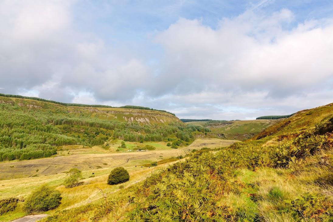 Report Launch: “Our Land: Communities and Land Use”