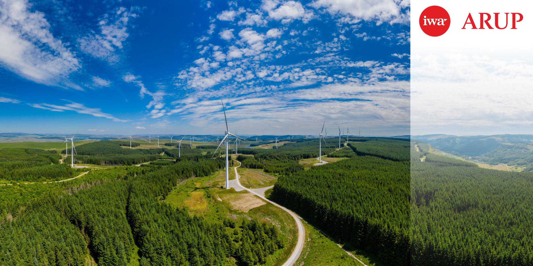 Mighty Strong: How Smaller Nations Make it Big in the Global Green Economy