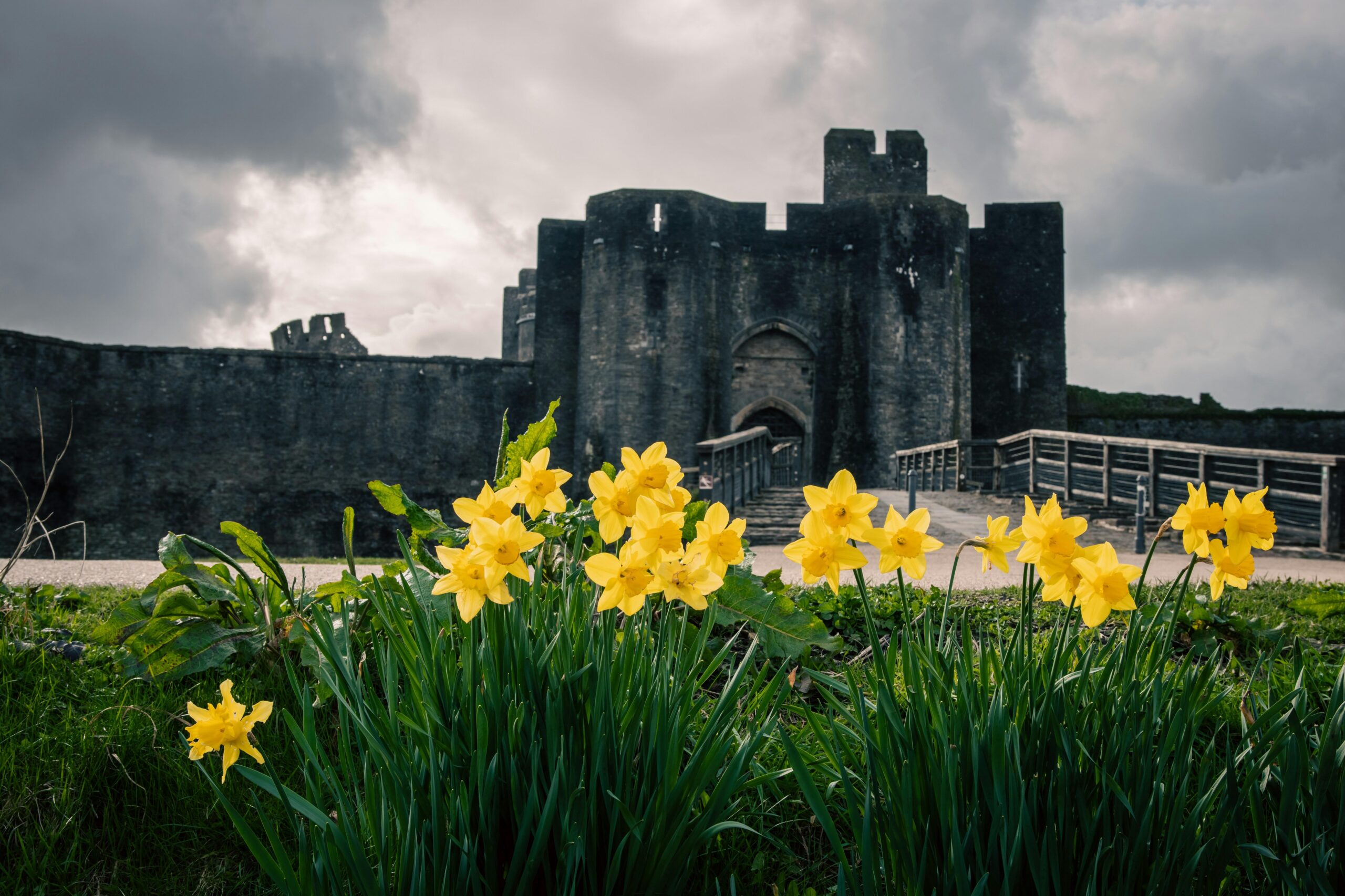 Cenhadaeth Cymru|Mission Wales: Governing with purpose, achieving progress
