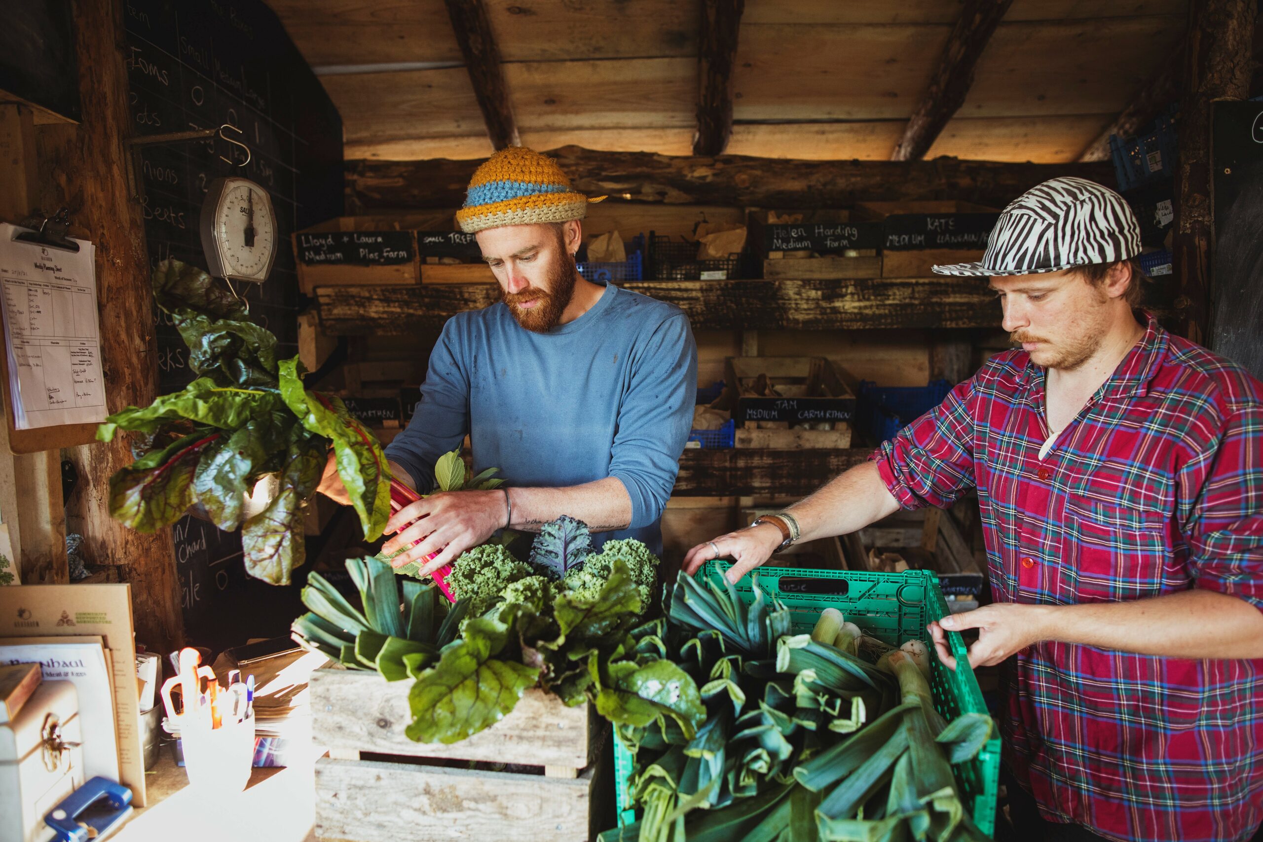 Residents on a Community-supported agriculture project.