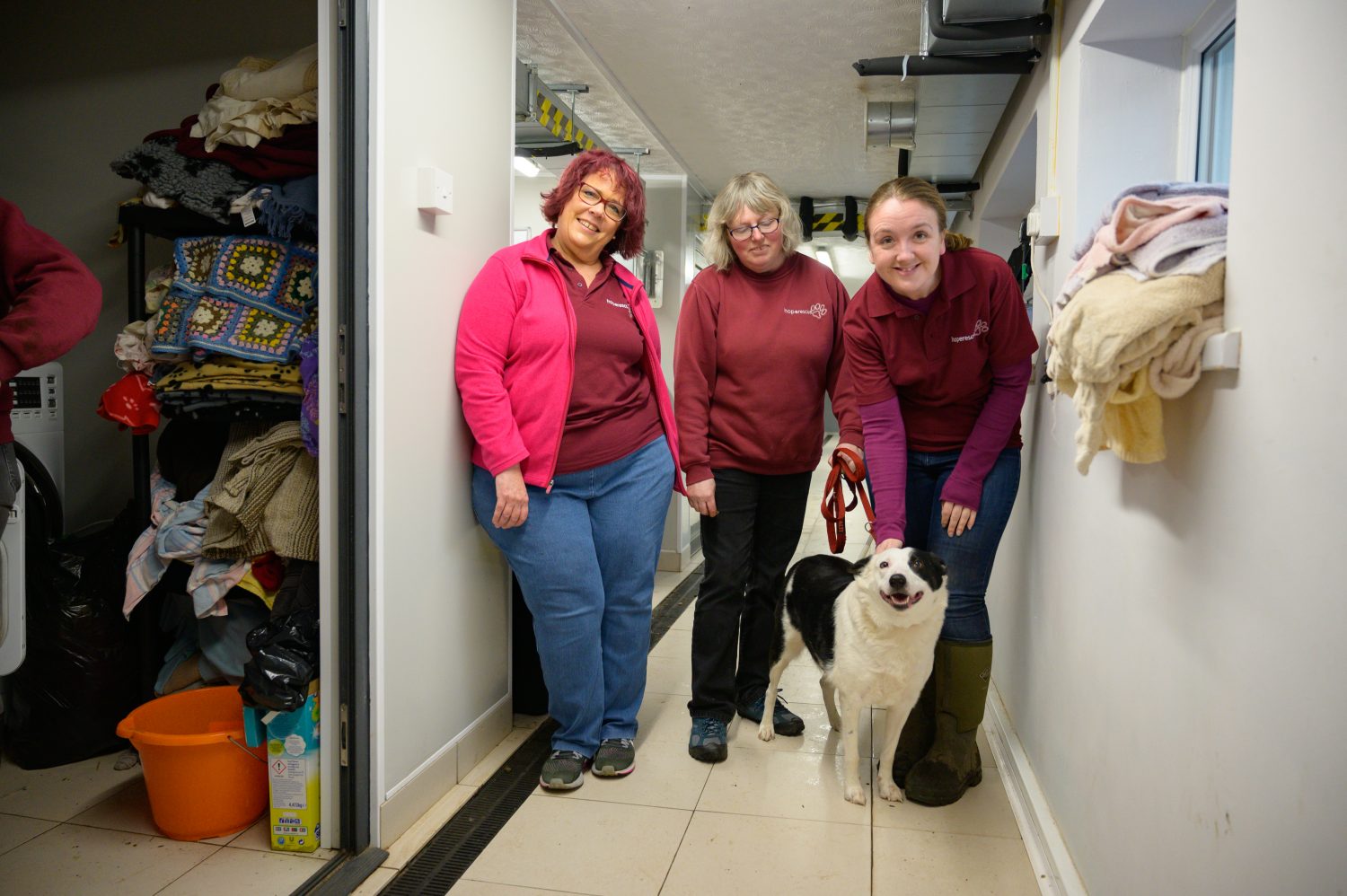 Hope Rescue Cardiff 'Being the Change' WCVA photo series: Hope Rescue - Institute of Welsh ...