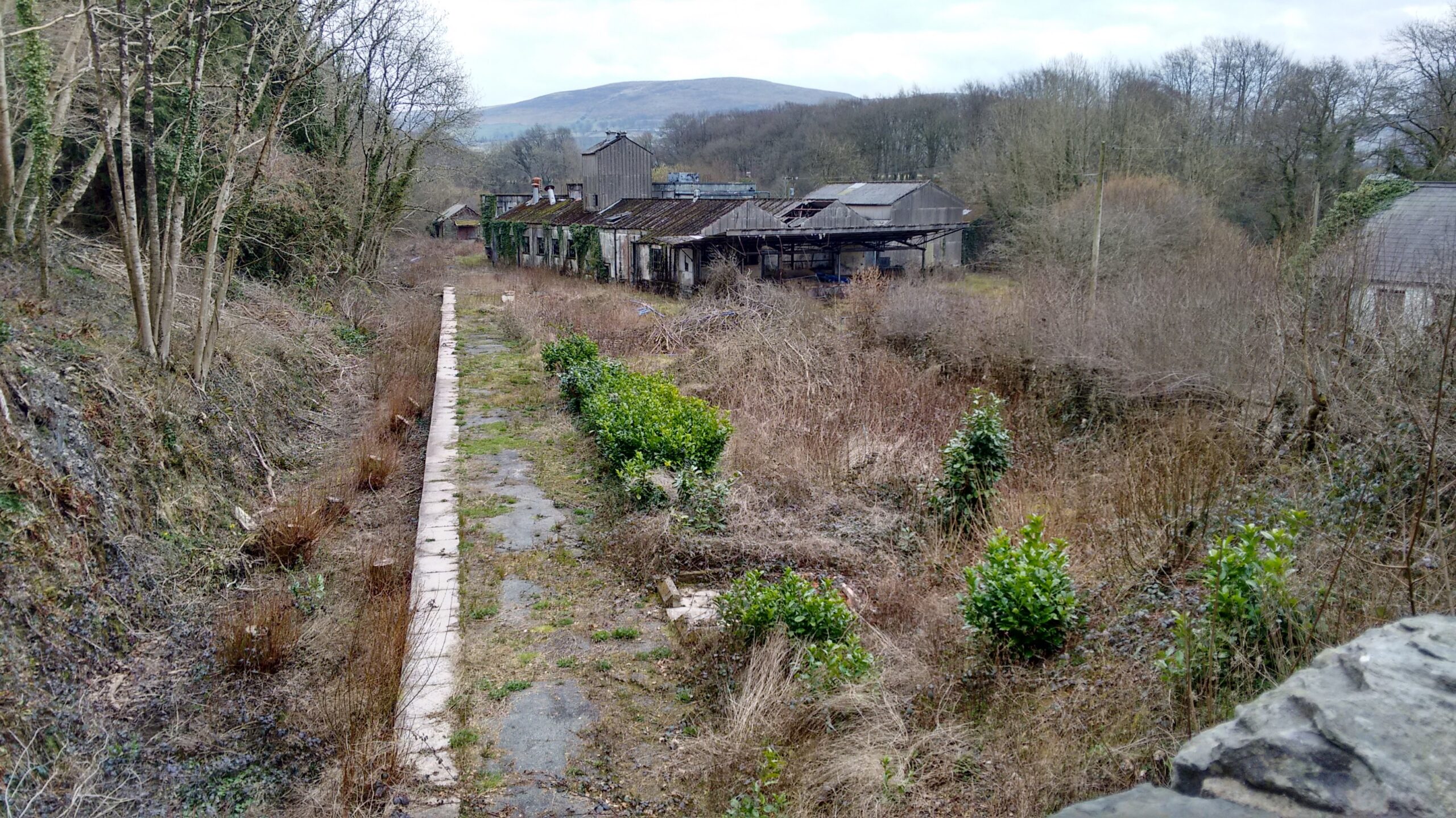 Pont Llanio in the winter.