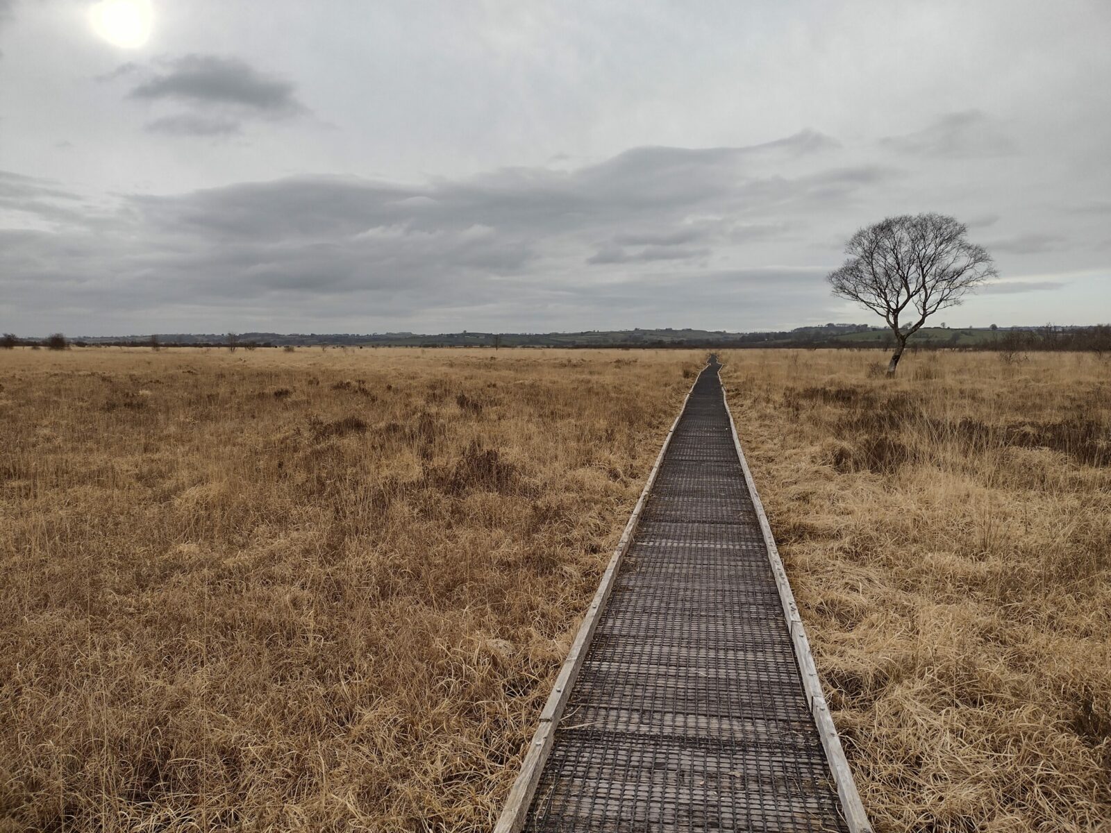 A picture of Cors Caron in the winter