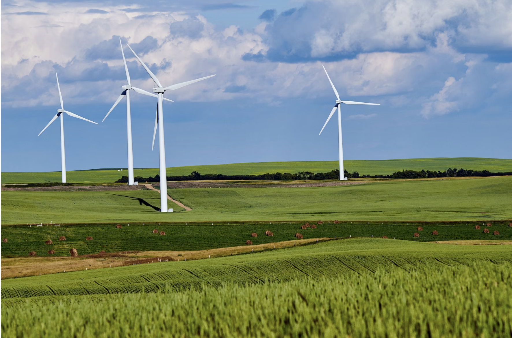 Wind Farm on green fields