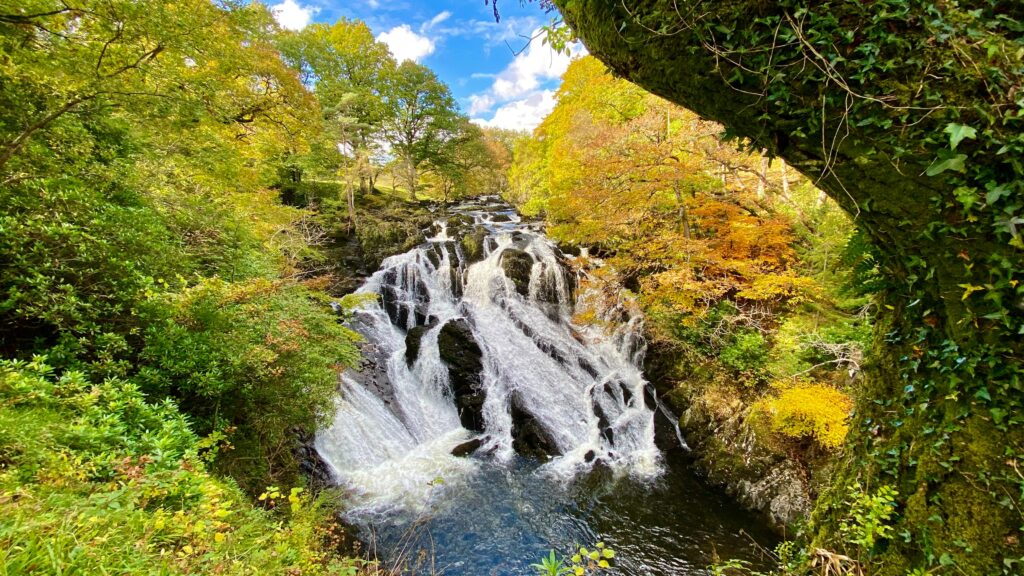 Kaja Brown meets some of the people behind the Black Mountains College in Powys and explores the uses of storytelling against climate change