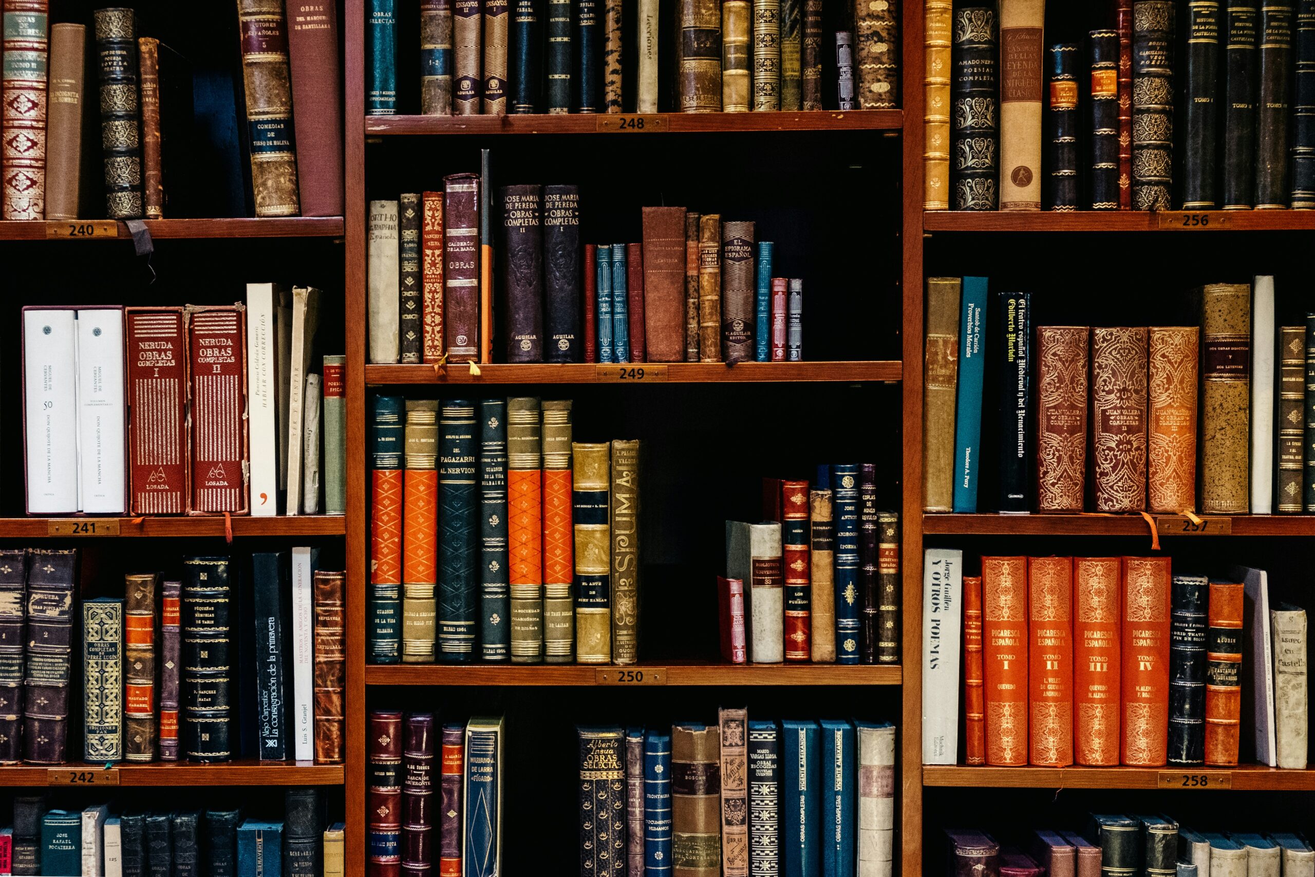 A picture of a stacked bookshelf taken at a bookshop.