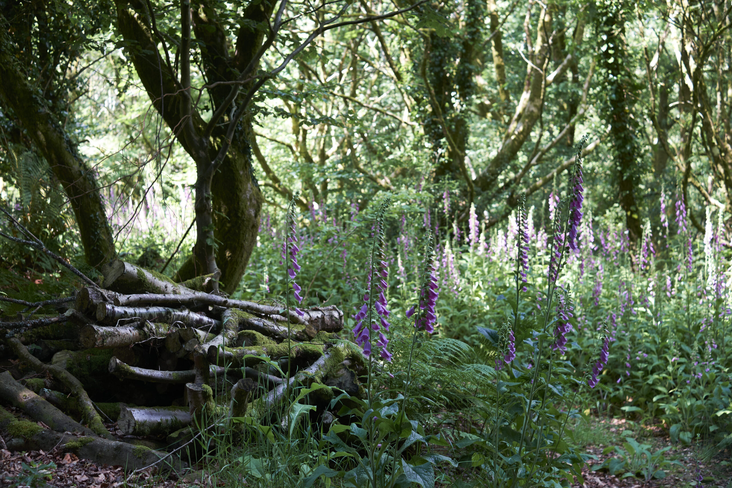 Land management can foster productivity while enhancing biodiversity